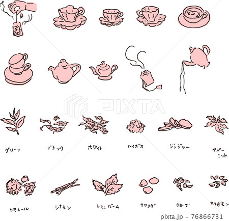 紅茶の原材料と淹れ方したく 紅茶の原材料と淹れ方したく 76866731