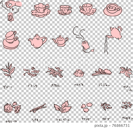 紅茶の原材料と淹れ方したく 紅茶の原材料と淹れ方したく 76866731