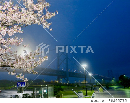 春の桜と瀬戸大橋の夜景 76866736