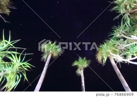 奄美大島用安海岸星空とヤシの木の風景 奄美大島用安海岸星空とヤシの木の風景 76866909