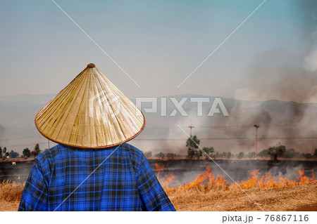 Farmer is burning straw in rice fields cause PM 2.5 air pollution problem. 76867116
