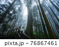 Walkway in Misty forest 76867461
