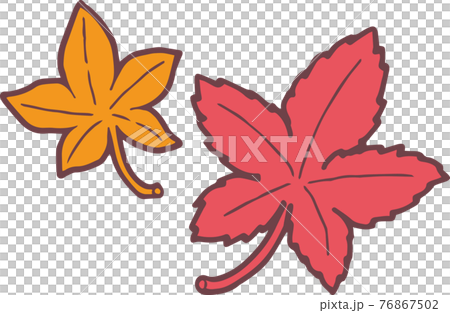 紅葉 76867502