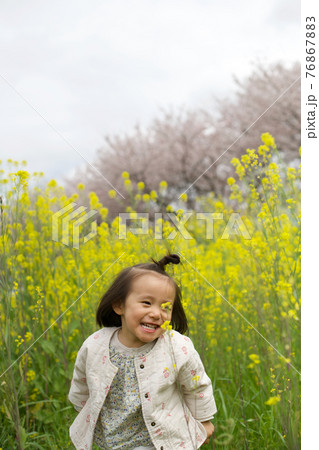 春の菜の花と桜と子供 76867883