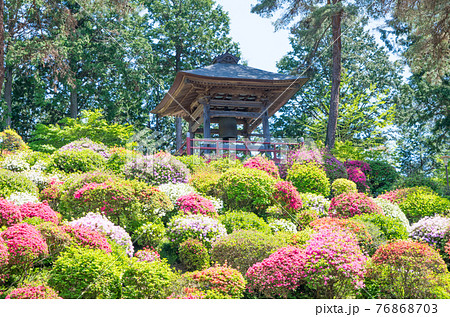 青梅市 塩船観音 鐘楼 (招福の鐘) ツツジまつり 青梅市 塩船観音 鐘楼 (招福の鐘) ツツジまつり 76868703