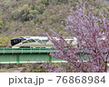 満開の桜とトランスート四季島 76868984