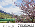 満開の桜とトランスート四季島 76868988
