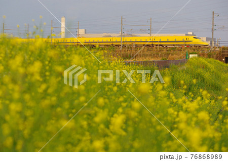 夕刻の菜の花とドクターイエロー 夕刻の菜の花とドクターイエロー 76868989