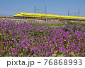 紫の絨毯とドクターイエロー 76868993
