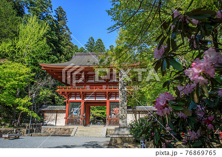 室生寺・仁王門 76869765