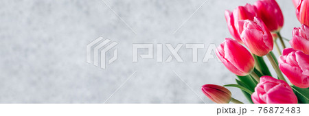 Fresh tulip flowers on a gray background. Fresh tulip flowers on a gray background. 76872483