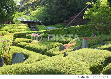 林昌寺 法林の庭 (大阪府泉南市信達岡中) 林昌寺 法林の庭 (大阪府泉南市信達岡中) 76872521