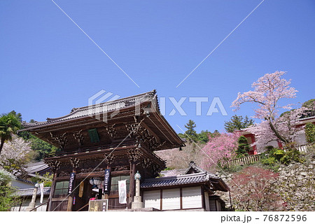 大和路の花の御寺 長谷寺の仁王門と桜 大和路の花の御寺 長谷寺の仁王門と桜 76872596