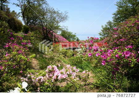 淡輪遊園　　(大阪府泉南郡岬町淡輪) 76872727