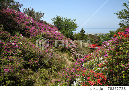 淡輪遊園　　(大阪府泉南郡岬町淡輪) 76872728