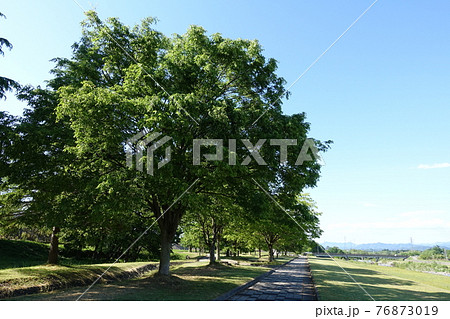 直江石提 直江堤公園 米沢市 直江石提 直江堤公園 米沢市 76873019