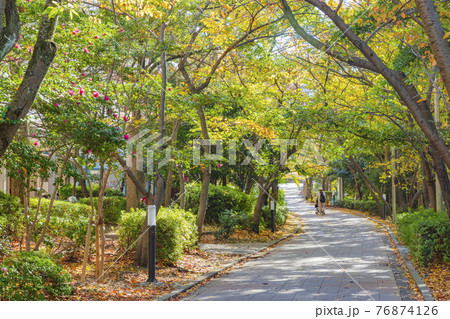 秋のハーバーランド遊歩道　神戸市中央区港島にて 76874126