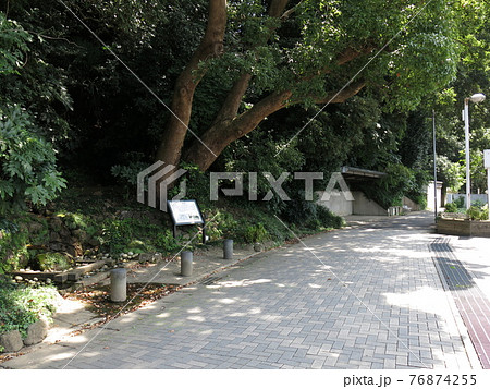 我孫子市のハケの道（瀧井孝作仮寓跡下の湧水付近） 76874255