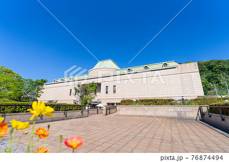 鹿児島市立美術館 鹿児島県鹿児島市 鹿児島市立美術館 鹿児島県鹿児島市 76874494