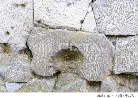 鹿児島城（鶴丸城）と鹿児島県歴史資料センター黎明館 76874676