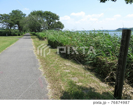 手賀沼遊歩道（手賀沼親水広場～水生植物園） 76874987