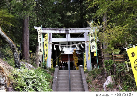 秩父聖神社（参道の鳥居） 76875307