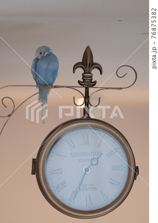 小さな家族 / you and me 小さな家族 / you and me 76875382