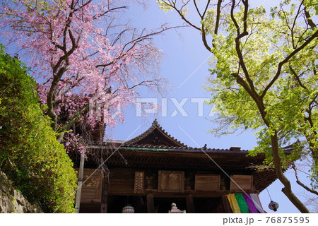 大和路の花の御寺 長谷寺の本堂 大和路の花の御寺 長谷寺の本堂 76875595