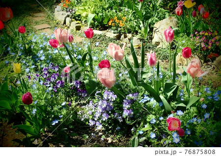 ガーデン ガーデン 76875808
