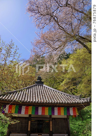 大和路の花の御寺 長谷寺の開山堂 大和路の花の御寺 長谷寺の開山堂 76875879