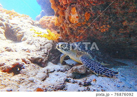 海 海事 海軍 76876092