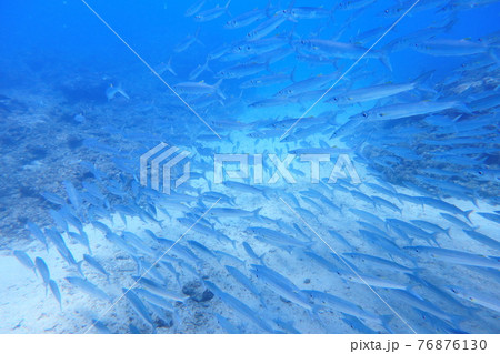 水中 海 海事 76876130