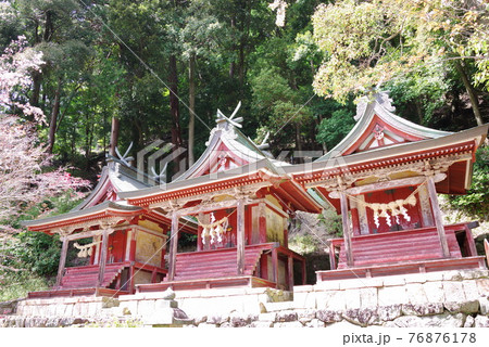 大和路の花の御寺 長谷寺の三社権現 大和路の花の御寺 長谷寺の三社権現 76876178