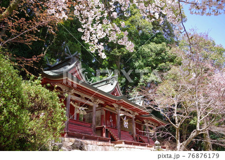 大和路の花の御寺 長谷寺の三社権現 大和路の花の御寺 長谷寺の三社権現 76876179