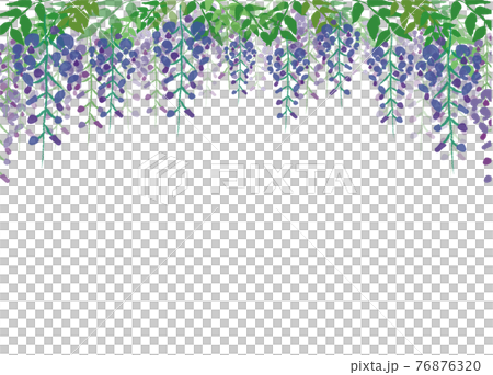 Wisteria frame 76876320