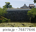 日本のお城。お堀と水草と水鳥。初夏のうららかな気候のなかの福岡城。 76877646