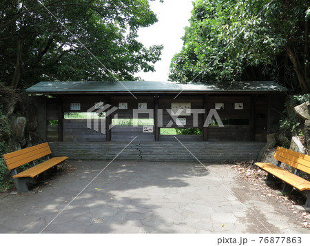 葛西臨海公園鳥類園の磯の小路にある上の池 淡水池 側の観察窓の写真素材