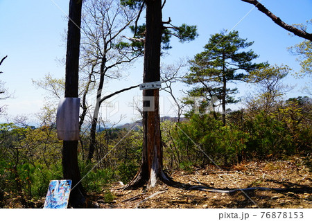 足利　仙人ヶ岳　知の岳　山頂 76878153