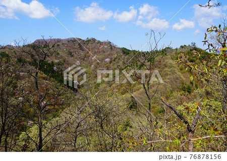 足利　仙人ヶ岳　知の岳付近から見る仙人ヶ岳方面 76878156