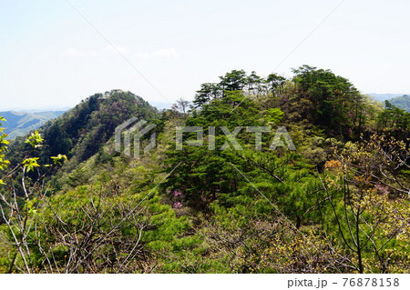 足利　仙人ヶ岳登山道から見る　猪子山方面 76878158