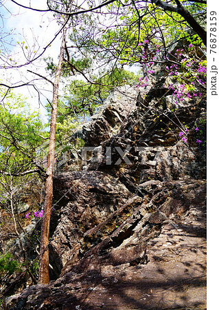 足利 仙人ヶ岳への登山道 犬帰りの鎖場 足利 仙人ヶ岳への登山道 犬帰りの鎖場 76878159
