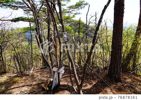 足利 仙人ヶ岳登山道 維の岳山頂 足利 仙人ヶ岳登山道 維の岳山頂 76878161