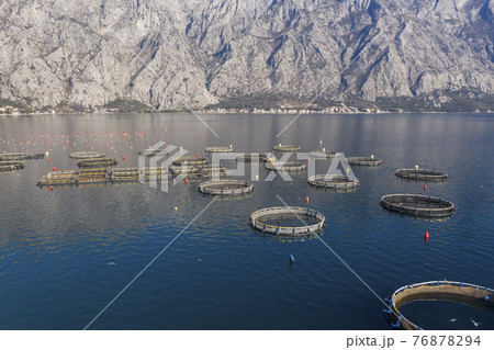 Aerial shoot of oysters, mussels and fish farming Aerial shoot of oysters, mussels and fish farming 76878294