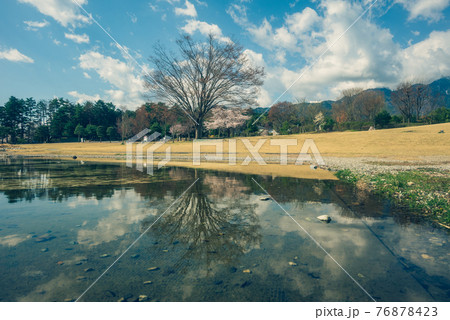 安曇野ちひろ公園【春】 安曇野ちひろ公園【春】 76878423