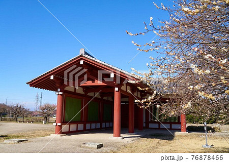 下野薬師寺跡 下野薬師寺跡 76878466