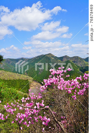 足利　アカヤシオ咲く仙人ヶ岳登山道から見る赤雪山 76878469