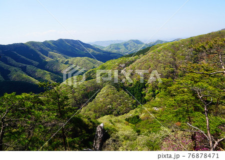 足利　仙人ヶ岳への登山道から見る石尊山方面 76878471