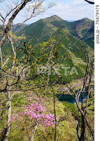 足利　仙人ヶ岳への登山道から見る赤雪山 76878478