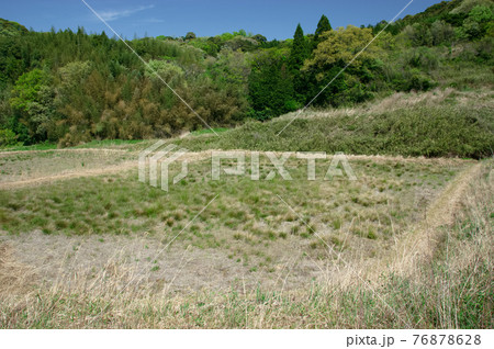 荒れた田んぼ 76878628