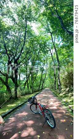 木漏れ日の森とこどもの自転車 76879425